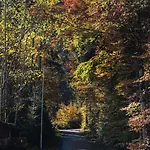 Apartmán Aurelian *