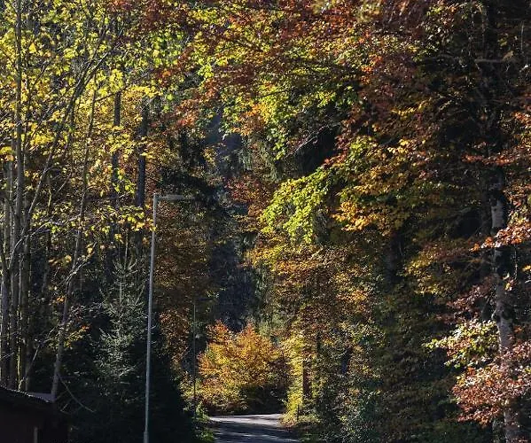 Appartement Aurelian *