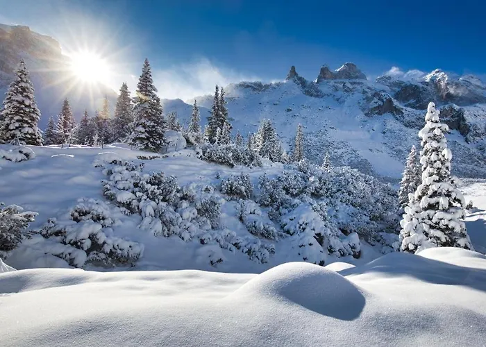 Appartement Aurelian