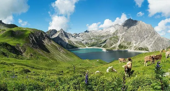 Aurelian Appartement