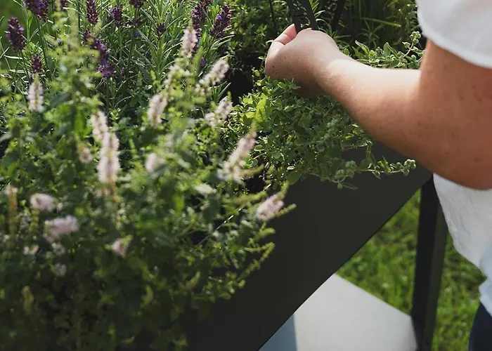 Aurelian Appartement Vandans